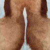 Springbok Pelt  - Tiffany Blue by Outpost Original