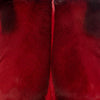 Springbok Pelt  - Red by Outpost Original