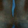 Springbok Pelt  - Caribbean Blue by Outpost Original