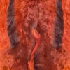 Springbok Pelt  - Cognac by Outpost Original