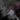 Eggplant springbok pelt, real fur detail | A3SPR_00003.jpg