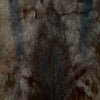 Springbok Pelt  - Espresso by Outpost Original