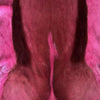 Springbok Pelt  - Hot Pink by Outpost Original