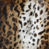 Rex Rabbit Pelt  - Leopard by Outpost Original