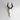 Hartebeest Horn  - Full Skull