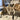 Kudu Polished White Inner on Lucite