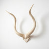 White Kudu Polished  - V Skull