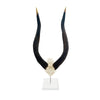 Nyala Taxidermy Horn V -Skull On Lucite by Outpost Original