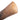 African Cattle Watusi Horn