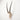 African Gemsbok Horn  - Full Skull