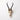Female Springbok Horn Full Skull