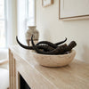 Loose African Springbok Horn  - Natural