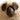 Close view of the hand-stitched leather sheep face and ears