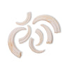 African Warthog Tusks  - Bleached by Outpost Original