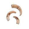 African Warthog Tusks  - Natural by Outpost Original
