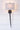 Gemsbok Horn Wall Sconce